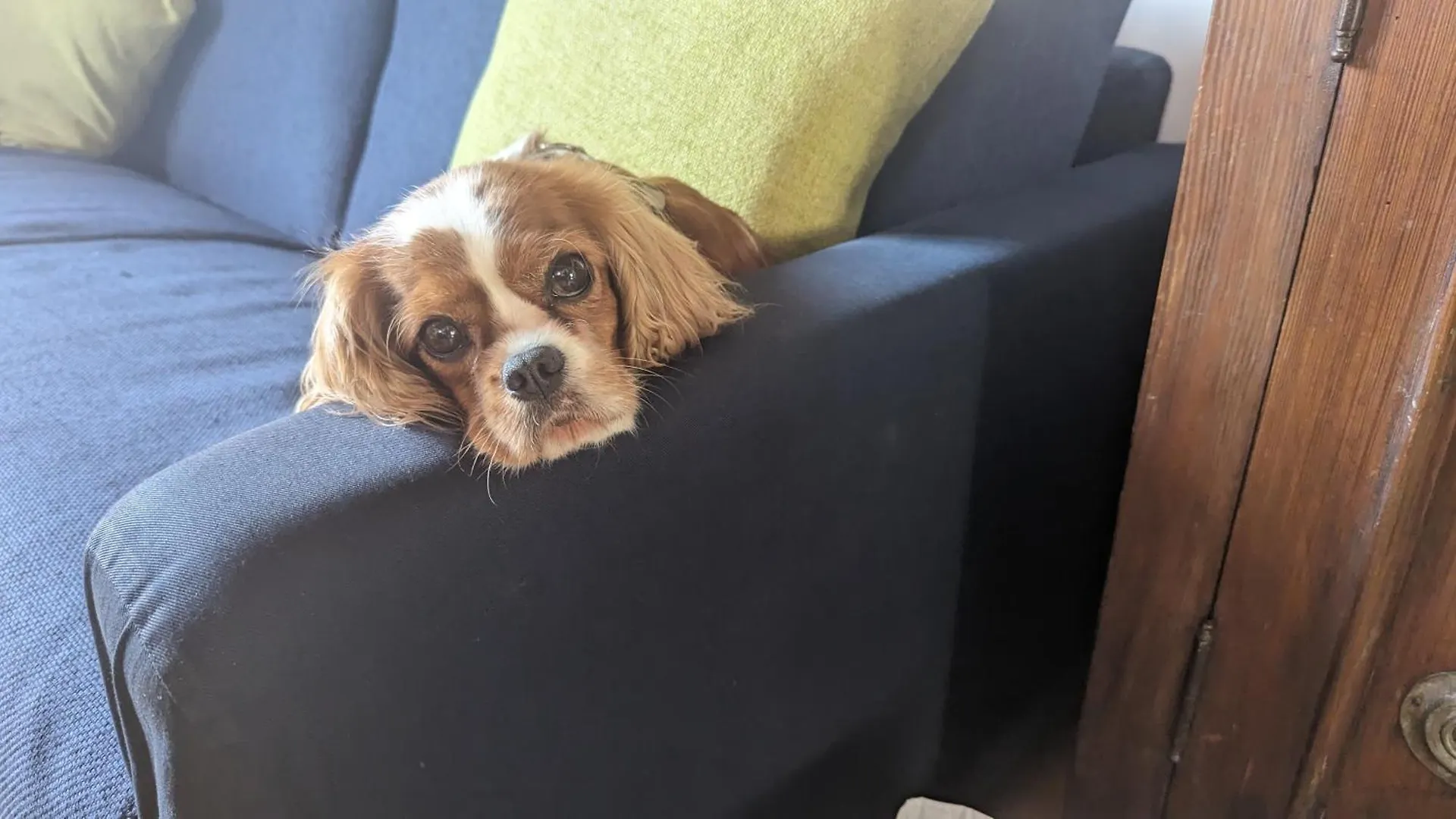 Appartement B&B Audrey Varese